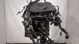 LX6Z6007A,Ecoboost 1.5 Dragon Двигатель Ford Escape 4 Арт 20290063, вид 4
