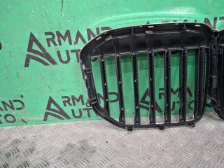 51137454895, 8094566, 8 решетка радиатора BMW X7 g07 Арт 378736RM, вид 6