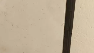  Подсветка номера Ford Transit 3 restailing Арт 11414710, вид 2