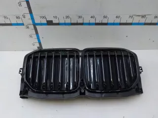 51138745730  Решетка радиатора BMW X7 g07 Арт 696337, вид 1