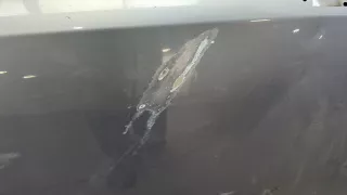 124254,13181602,93189329 Дверь передняя правая серебристая Opel Corsa D Арт 20059608, вид 3