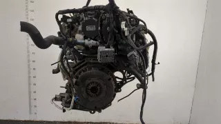 Z22D1 Двигатель Opel Antara Арт 20444472, вид 1