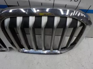 51137454895 Решетка радиатора BMW X7 g07 Арт BIT731273, вид 4