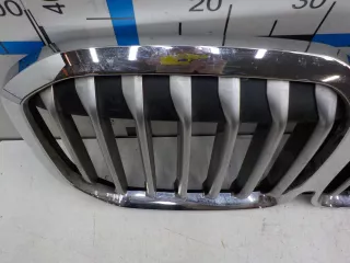 51137454895 Решетка радиатора BMW X7 g07 Арт BIT731273, вид 5