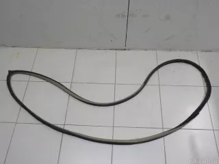 82830AL501 Уплотнитель двери Infiniti G 3 Арт E50742801, вид 3