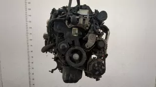 D4162T Двигатель Volvo V50 1.6л Турбо Арт 20445068, вид 1