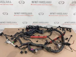 8K2971072BG Проводка двигателя Audi A4 B8 3.2л Арт 2-32659, вид 1