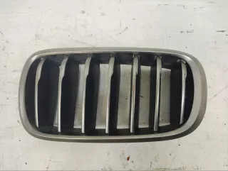 51137349393 Решетка радиатора BMW X6 F16 Арт 2-53720, вид 1