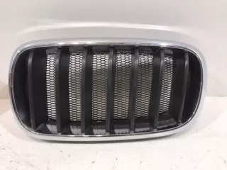 51117316075 Решетка радиатора BMW X5 F15 Арт 2-58397, вид 1