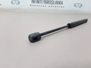 654701BA0A Амортизатор капота Infiniti EX Арт 2-67596, вид 3