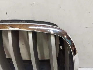 51317157688 Решетка радиатора BMW X5 E70 Арт 2-72986, вид 2