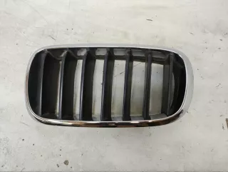 51117303109 Решетка радиатора BMW X5 F15 Арт 2-81828, вид 1