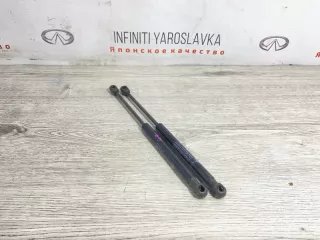 654701BA0A Амортизаторы капота Infiniti EX Арт 2-115638, вид 1