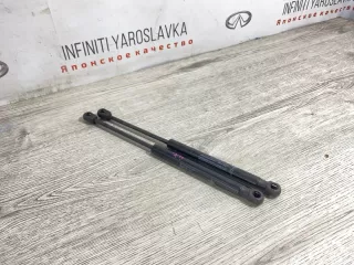 654701BA0A Амортизаторы капота Infiniti EX Арт 2-115638, вид 2