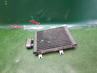 A2155000000 Радиатор масляный Mercedes CL C215 Арт 2-315603, вид 1