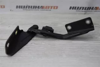 1101591 Петля капота Ford Focus 1 Арт 2-445001, вид 2