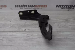 1101591 Петля капота Ford Focus 1 Арт 2-445001, вид 3