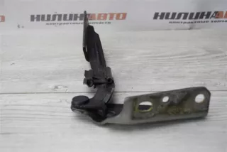 1101591 Петля капота Ford Focus 1 Арт 2-445001, вид 4