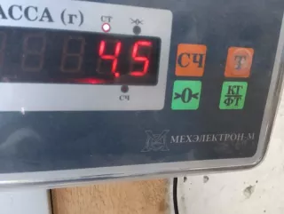 MR404839 Коллектор выпускной Mitsubishi Carisma 1.6л Арт 2-529544, вид 9