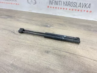 654701BA0A Амортизаторы капота Infiniti EX Арт 2-691847, вид 2