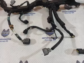 24020AE380 Проводка моторная (коса) Subaru Forester SH Арт 2-763218, вид 2