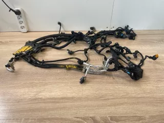 12519887443 Жгут проводов двигателя BMW X5 G05  Арт 2-938642, вид 1