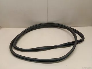 6073066300 Уплотнитель двери Geely Atlas Pro Арт E23253119, вид 1