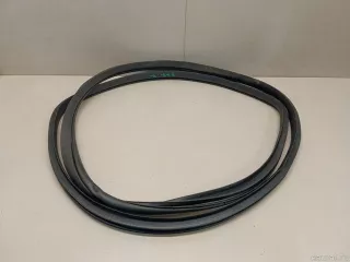 6073066200 Уплотнитель двери Geely Atlas Pro Арт E23253121, вид 1