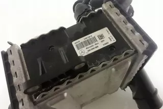 A6510901800 Интеркулер Mercedes C W205 Арт e12769352, вид 3