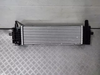 8582879 Интеркулер BMW ix 3 Арт e12734218, вид 2