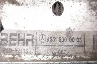 W251, 2515000904 Радиатор (основной) Mercedes R W251 Арт e12275870, вид 4