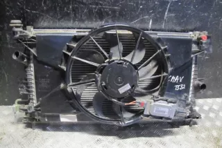 DXACB7, 0130308447 Радиатор (основной) Ford C-max 2 Арт e12275416, вид 1