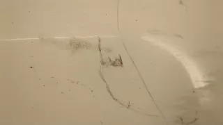 81626100019 Удлинитель двери MAN TGX Арт 20446655, вид 3
