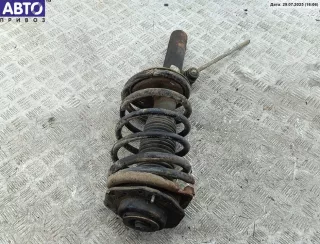 1ZFD Стойка подвески передняя правая Citroen Berlingo 1 restailing Арт 54846931, вид 2