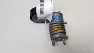 31251653 Ролик-натяжитель ручейкового ремня Ford Kuga 1 Арт E70807909, вид 1