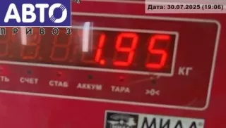 770304708 Полка над лобовым стеклом Renault Kangoo 1 Арт 54845417, вид 3