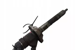 0445110297 Форсунка Citroen C4 1 Арт AL17646756513, вид 4