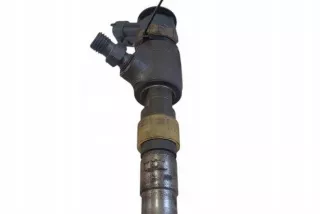 0445110566 Форсунка Citroen C3 2 Арт AL17647064010_2, вид 1