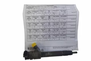 044511113R Форсунка Fiat Ducato 2 Арт AL17678722788, вид 4