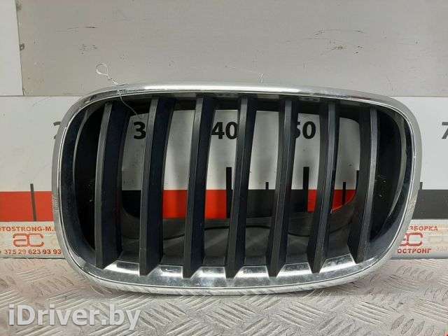 Решетка радиатора BMW X5 E70 2007г. 51137157687, 51137171395 - Фото 1