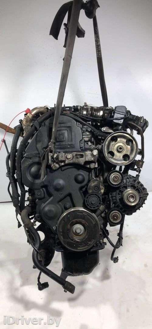 Двигатель  Citroen Berlingo 2  1.6  Дизель, 2008г. 9HX  - Фото 1