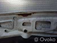 Капот Volkswagen Crafter 1 2012г. 2e1823033a , artVIR16548 - Фото 5