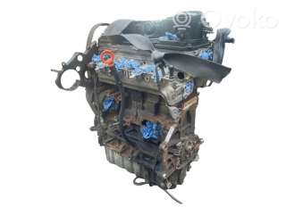 Двигатель  Skoda Roomster 1 restailing 1.6  Дизель, 2010г. cay, 03l021bj , artSEA29743  - Фото 3