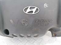 Декоративная крышка двигателя Hyundai Santa FE 1 (SM) 2003г. 29240-38013 - Фото 3