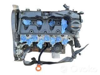 Двигатель  Volkswagen Polo 5 1.2  Дизель, 2012г. cay, 03l021al , artSEA29681  - Фото 7