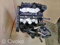Двигатель  Volkswagen Polo 5 1.2  Дизель, 2011г. cfw , artAML16824  - Фото 4