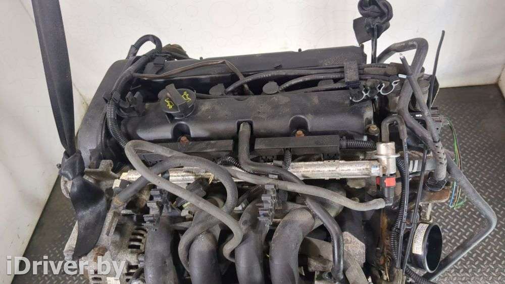 Двигатель  Ford Focus 1 1.4 Инжектор Бензин, 2004г. FXD…  - Фото 5