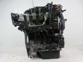 Двигатель  Ford Focus 2 1.6  Дизель, 2005г. g8da , artCZM150316  - Фото 4