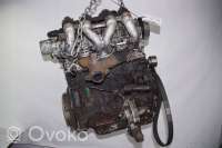 Двигатель  Citroen Berlingo 1 restailing 1.9  Дизель, 2004г. wjy, dv8b , artAST1388  - Фото 3