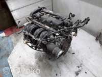 Двигатель  Ford Fiesta 6 1.4  Бензин, 2012г. snjb , artDEV364385  - Фото 3